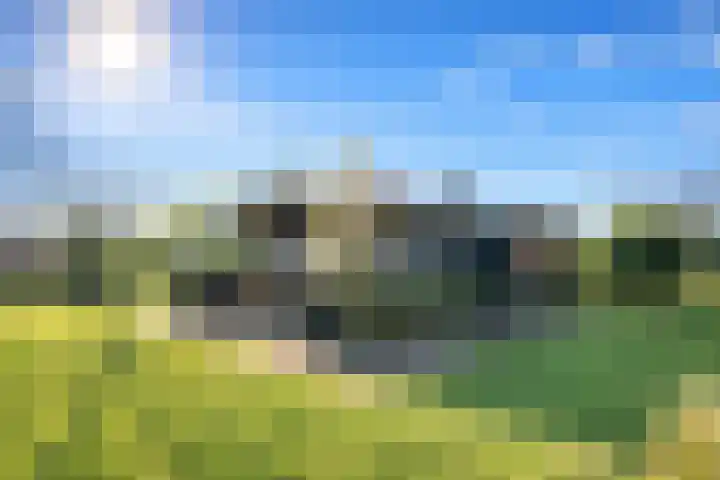 Vriezekoop 11 j R2 Leimuiden thumbnail 5