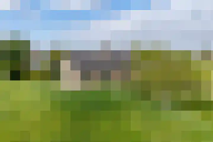 Vriezekoop 22 a Leimuiden thumbnail 12