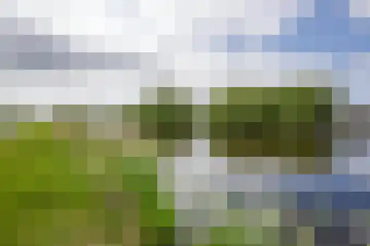 Vriezekoop 22 a Leimuiden thumbnail 14