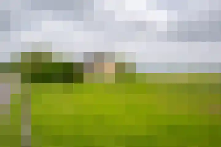 Vriezekoop 22 a Leimuiden thumbnail 19