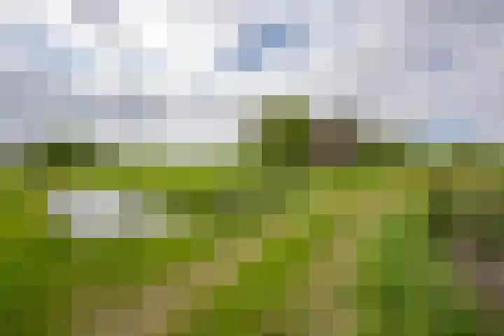 Vriezekoop 22 a Leimuiden thumbnail 22