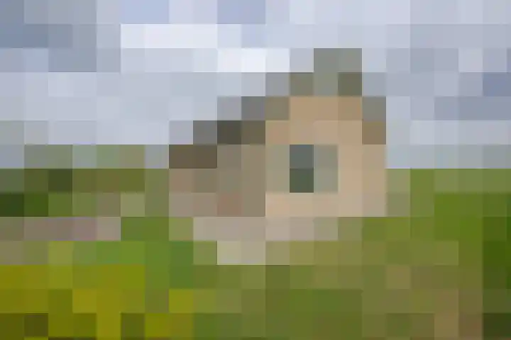 Vriezekoop 22 a Leimuiden thumbnail 26