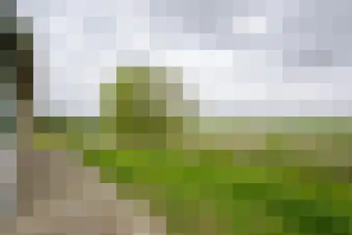 Vriezekoop 22 a Leimuiden thumbnail 33