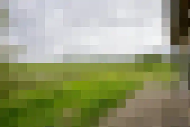 Vriezekoop 22 a Leimuiden thumbnail 34