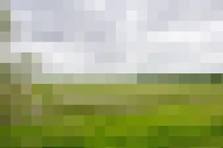 Vriezekoop 22 a Leimuiden thumbnail 35