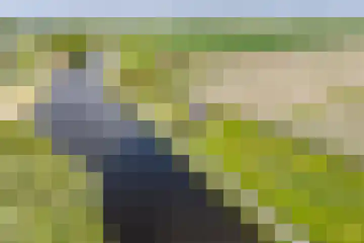 Vriezekoop 22 a Leimuiden thumbnail 4