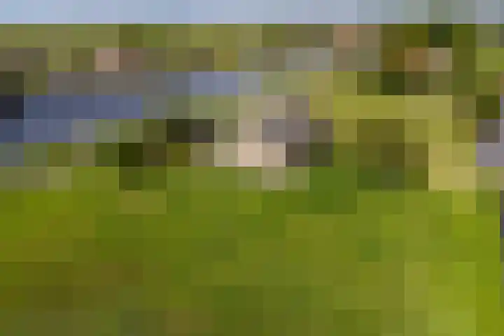 Vriezekoop 22 a Leimuiden thumbnail 8