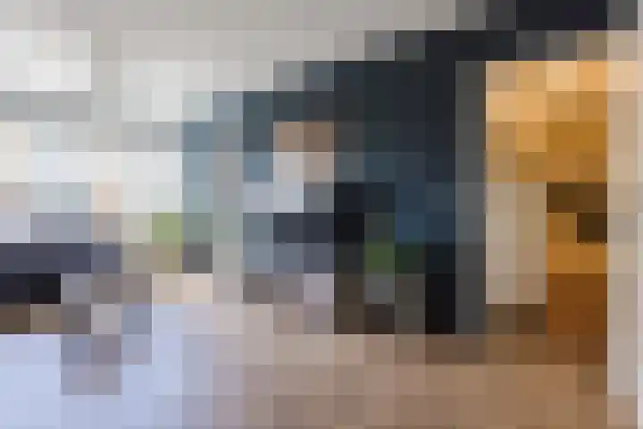 Vrije Nesse 20 Bodegraven thumbnail 10