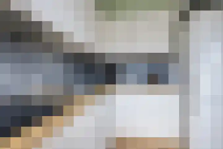 Vrije Nesse 20 Bodegraven thumbnail 15