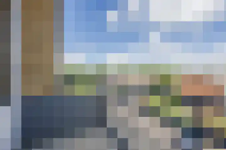 Vrije Nesse 20 Bodegraven thumbnail 20
