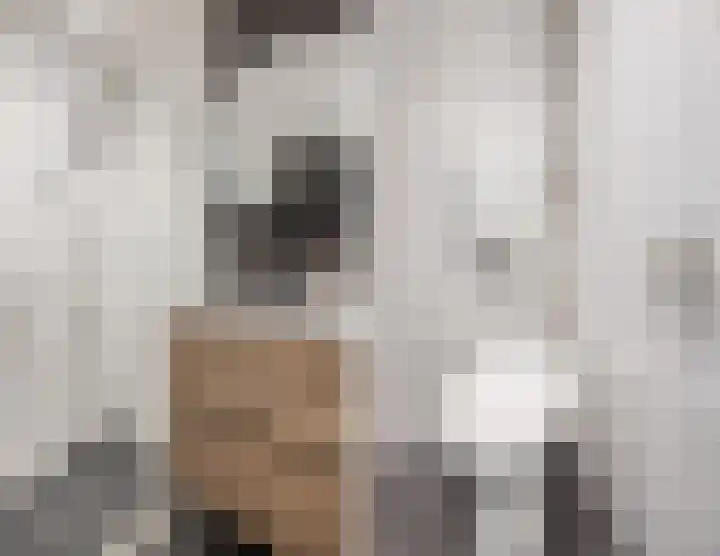 Vrije Nesse 20 Bodegraven thumbnail 24