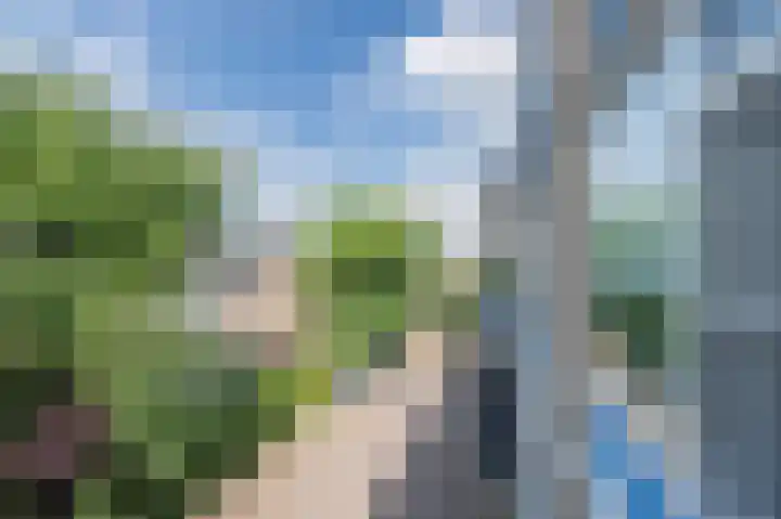 Vrije Nesse 39 Bodegraven thumbnail 32