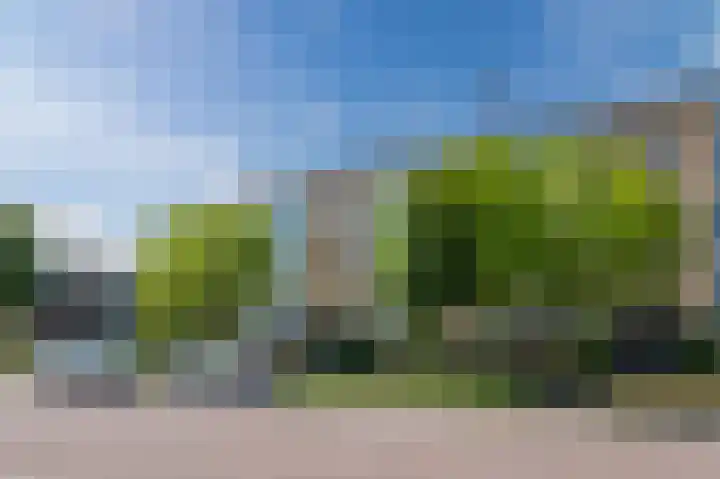 Vrije Nesse 39 Bodegraven thumbnail 7