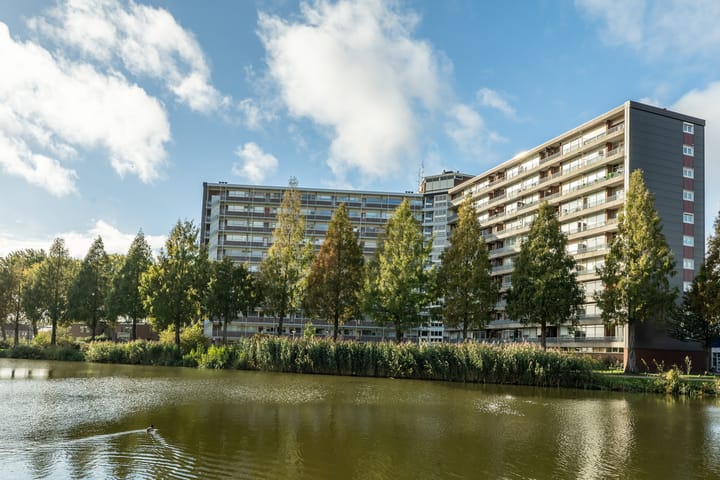 Foto van woning Vrijheer van Eslaan 133, Papendrecht