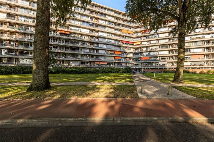 Vrijheer van Eslaan 207 in Papendrecht foto