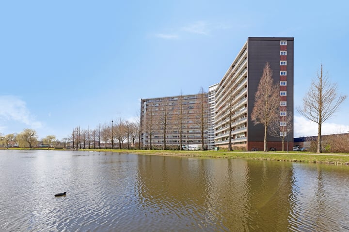 Vrijheer van Eslaan 263 in Papendrecht foto