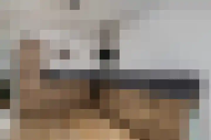 Vrijheidslaan 7 Appingedam thumbnail 15