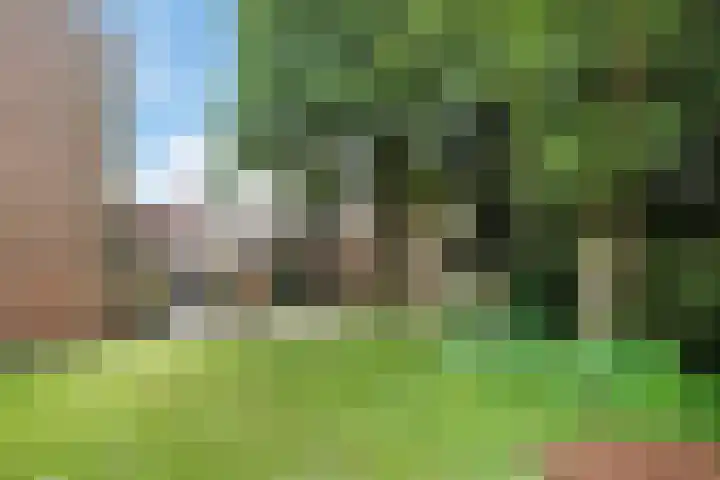 Vrijheidslaan 7 Appingedam thumbnail 24