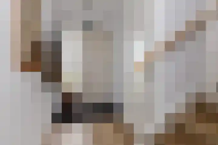 Vrijheidslaan 7 Appingedam thumbnail 8