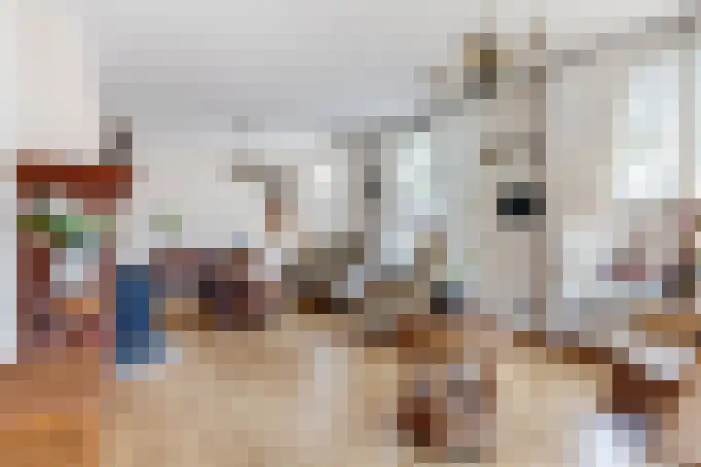 Vrijheidslaan 7 Appingedam thumbnail 9
