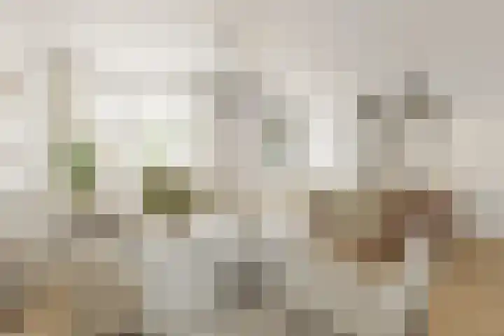 Vrijhoef 12 Leusden thumbnail 11