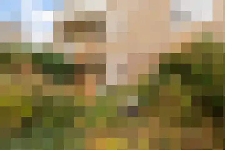 Vrijhoef 12 Leusden thumbnail 28