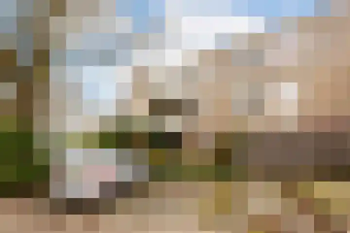 Vrijhoef 12 Leusden thumbnail 29