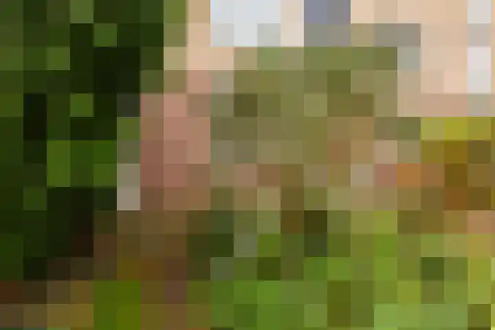 Vrijhoef 12 Leusden thumbnail 31