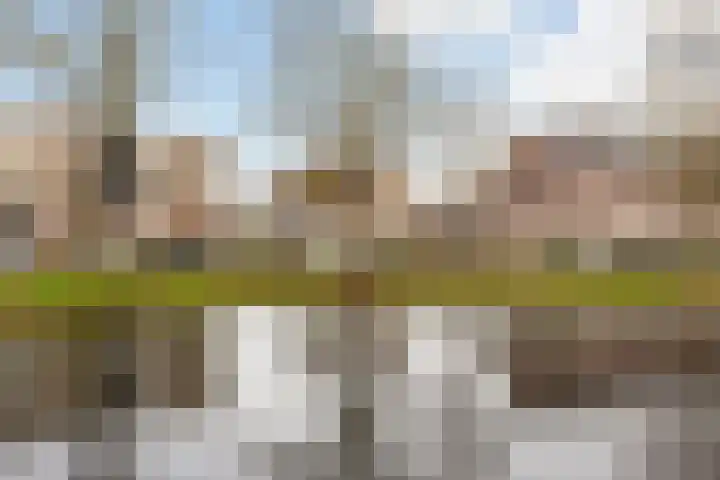 Vrijhoef 12 Leusden thumbnail 6