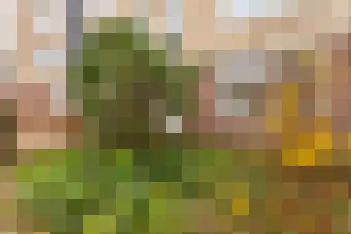 Vrijhoef 12 Leusden thumbnail 7