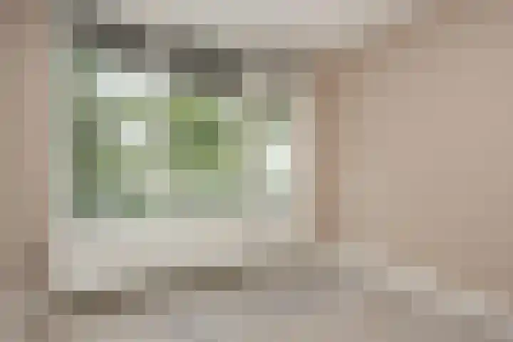 Vrijhoef 42 Leusden thumbnail 17