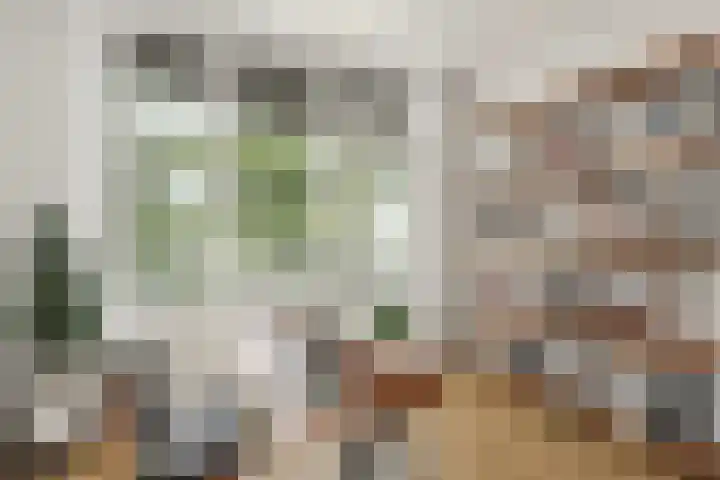 Vrijhoef 42 Leusden thumbnail 18