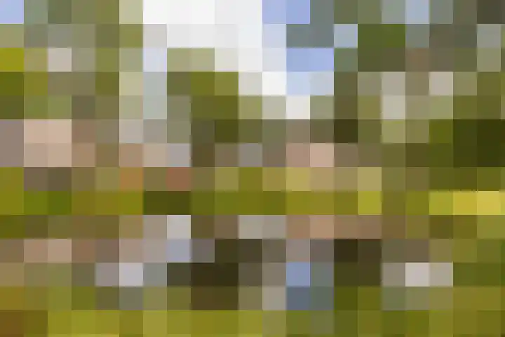 Vrijhoef 42 Leusden foto 2
