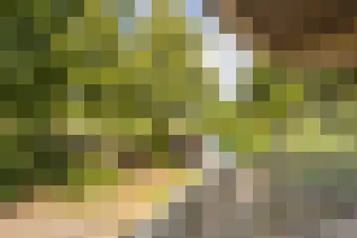 Vrijhoef 42 Leusden thumbnail 20