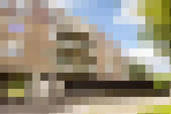 Vrijhoef 42 Leusden thumbnail 23