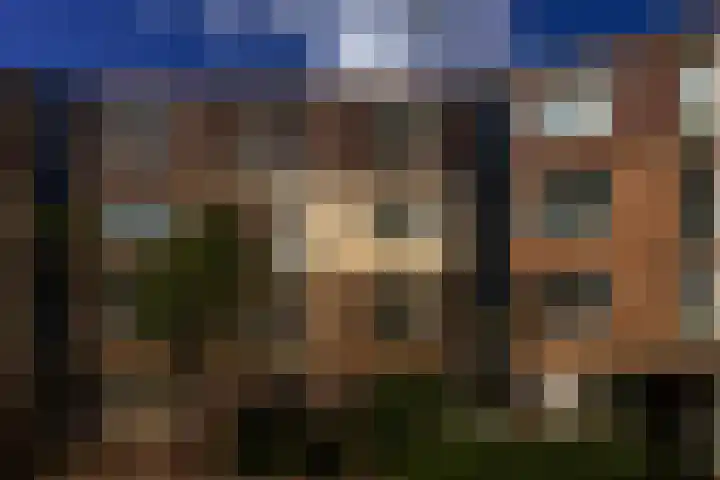 Vrijhoef 42 Leusden thumbnail 25