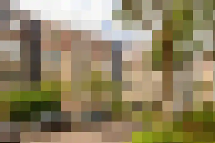 Vrijhoef 42 Leusden thumbnail 5
