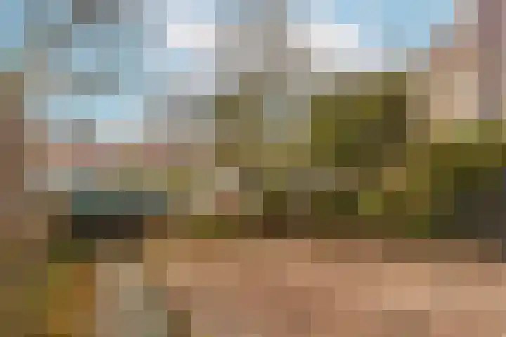 Vrijhoef 70 Leusden thumbnail 11