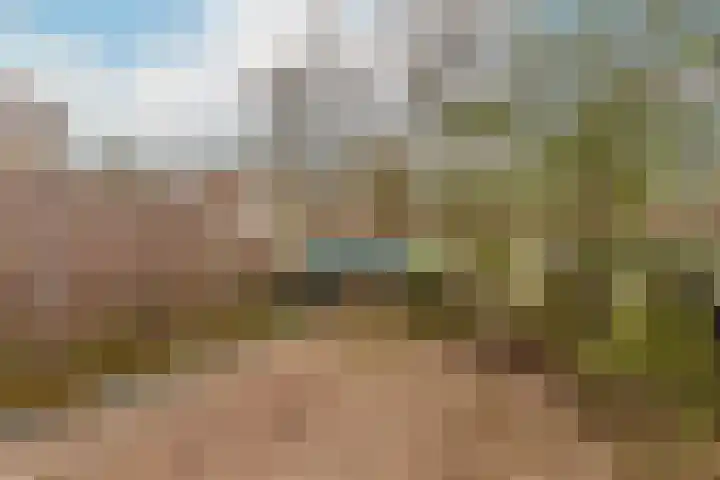 Vrijhoef 70 Leusden thumbnail 12