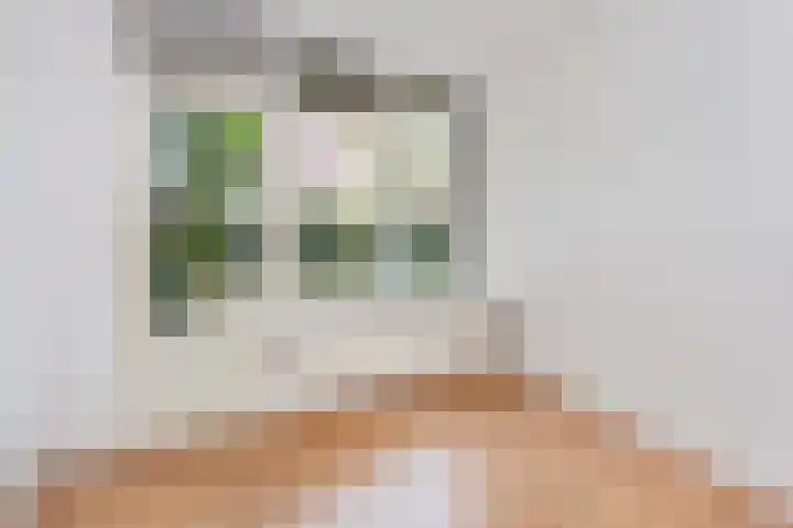 Vrijhoef 70 Leusden thumbnail 19