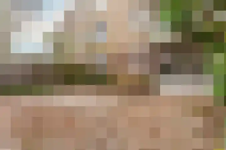 Vrijhoef 70 Leusden foto 2