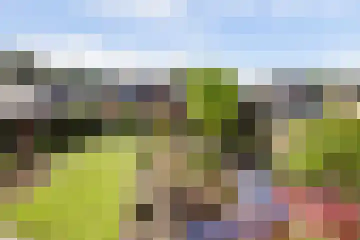 Vrijstraat 22 Ledeacker thumbnail 20