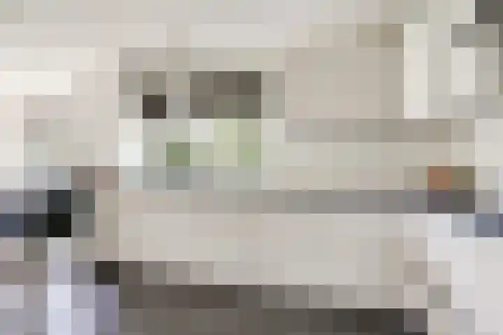 Vrijstraat 22 Ledeacker foto 3