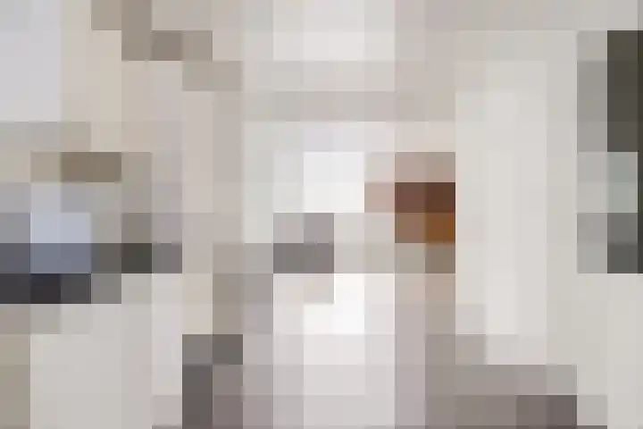 Vrijstraat 22 Ledeacker thumbnail 33