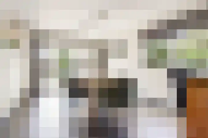 Vrijstraat 22 Ledeacker thumbnail 6