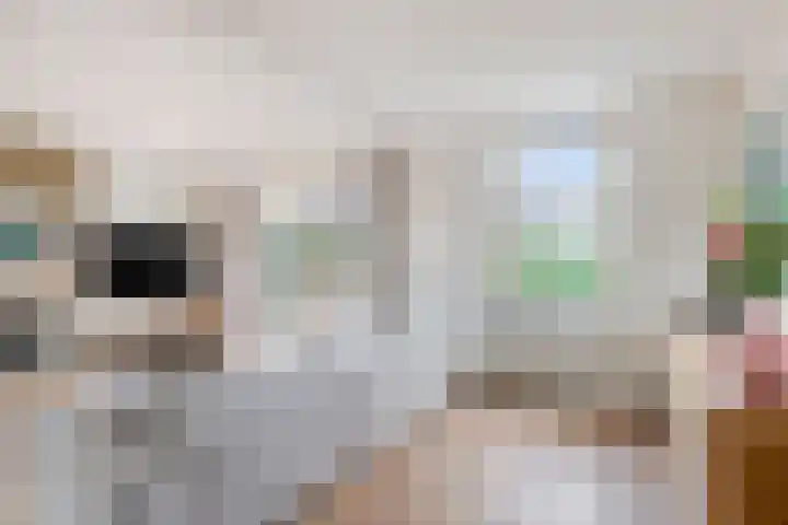 Vrijstraat 9 B Ledeacker thumbnail 12