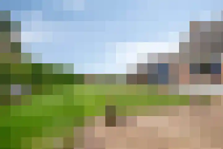 Vrijstraat 9 B Ledeacker thumbnail 5