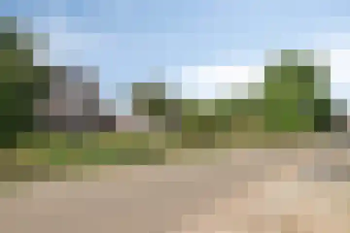 Vrijstraat 9 B Ledeacker thumbnail 61