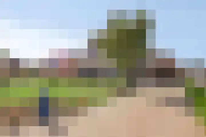 Vrijstraat 9 B Ledeacker thumbnail 7