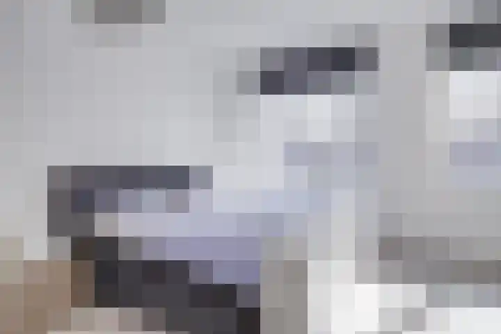 Logo Vrijthof Makelaars